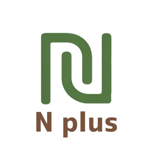 株式会社N plus