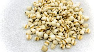 ハトムギ（ヨクイニン）