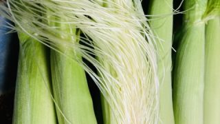 とうもろこしのひげ（玉米鬚）