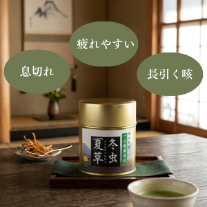 冬虫夏草