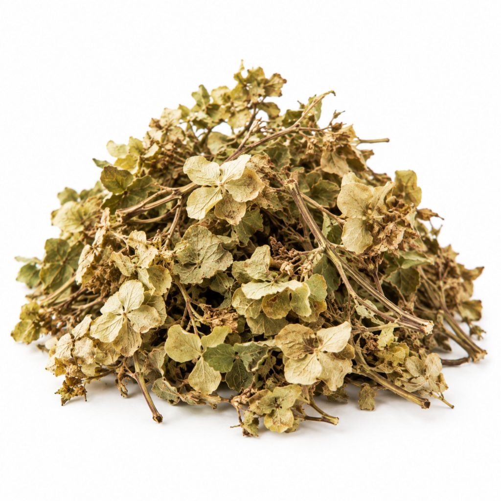 甘茶