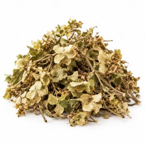 甘茶【生】
