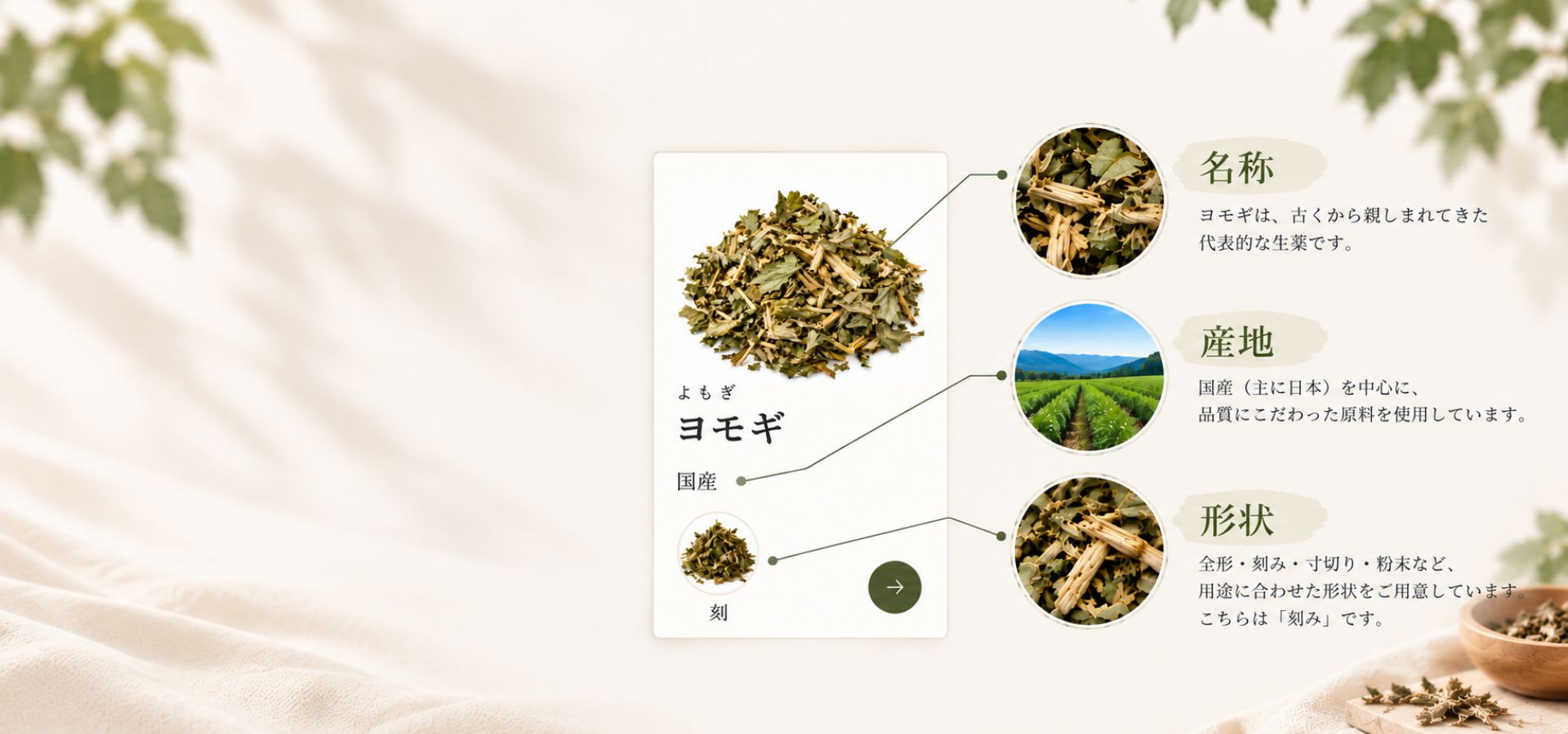 生薬の詳細ページの例。名称・産地・形状などを確認できます